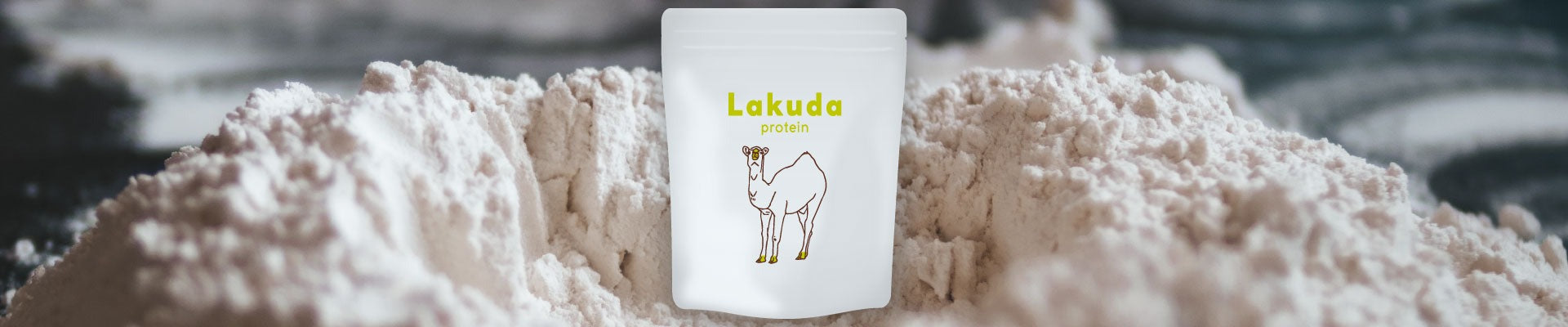 index-message_倉吉スポーツセンター　地域の活力となるスポーツ拠点 LAKUDA SPORTS